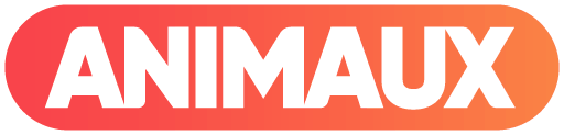 Animaux HD TR