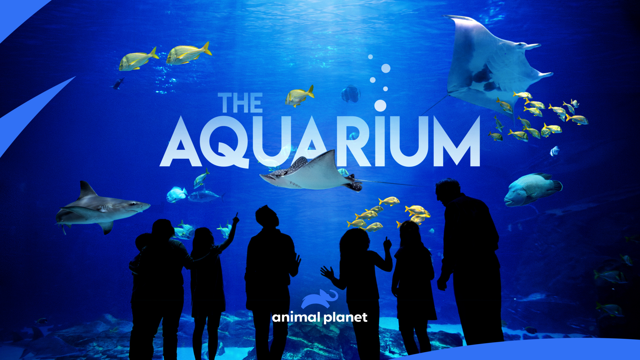 Aquarium CA