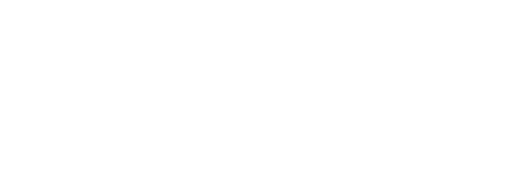 Bandamax FHD MX