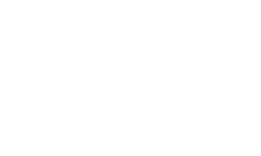 FX LAM