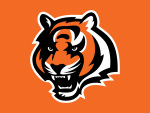 NFL Teams: CBS Bengals (WKRC) Cincinnati OH